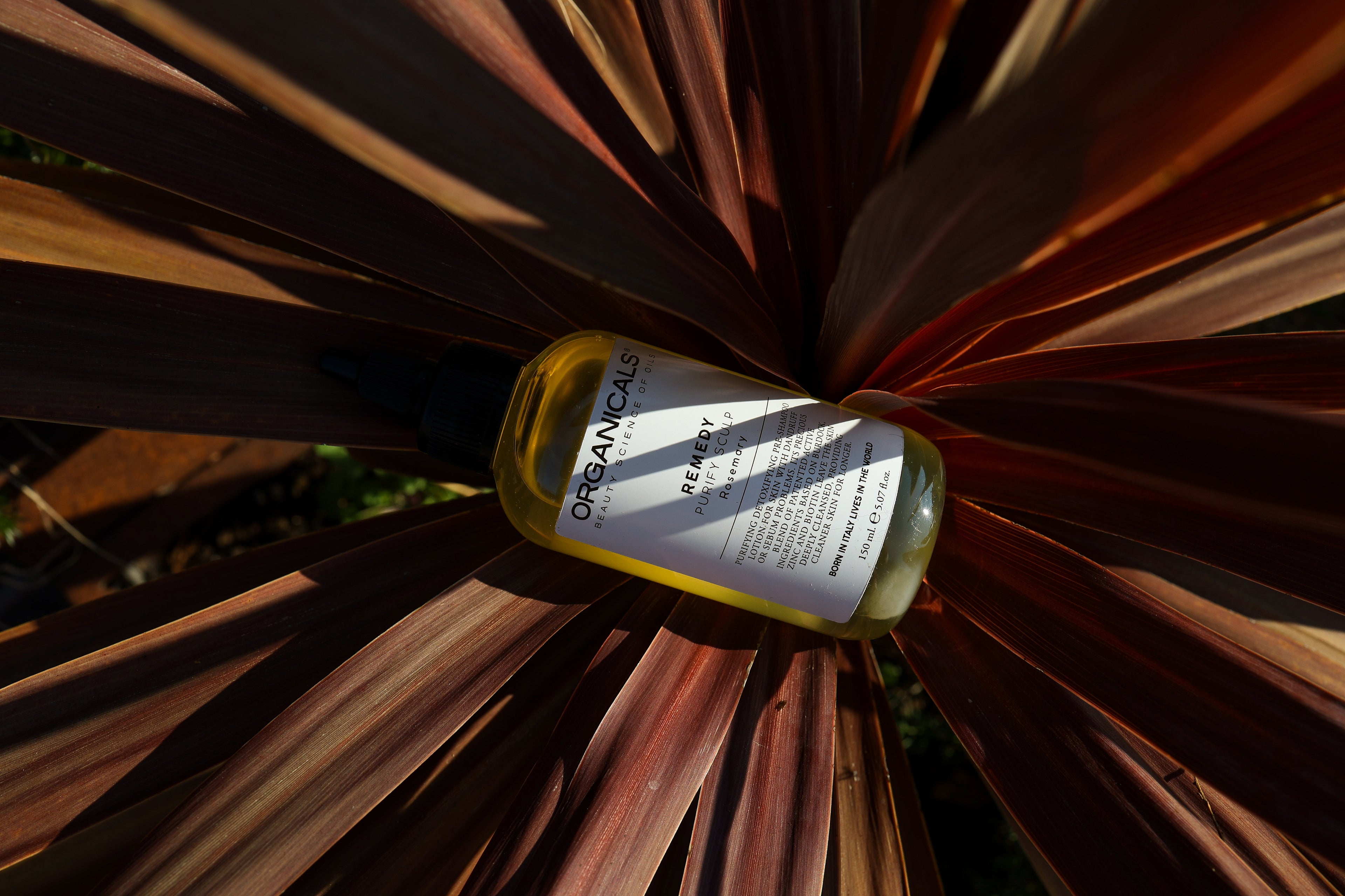 ORGANICALS Remedy Purify Scalp – Терапия за Дълбоко Почистване на Скалпа 150 мл