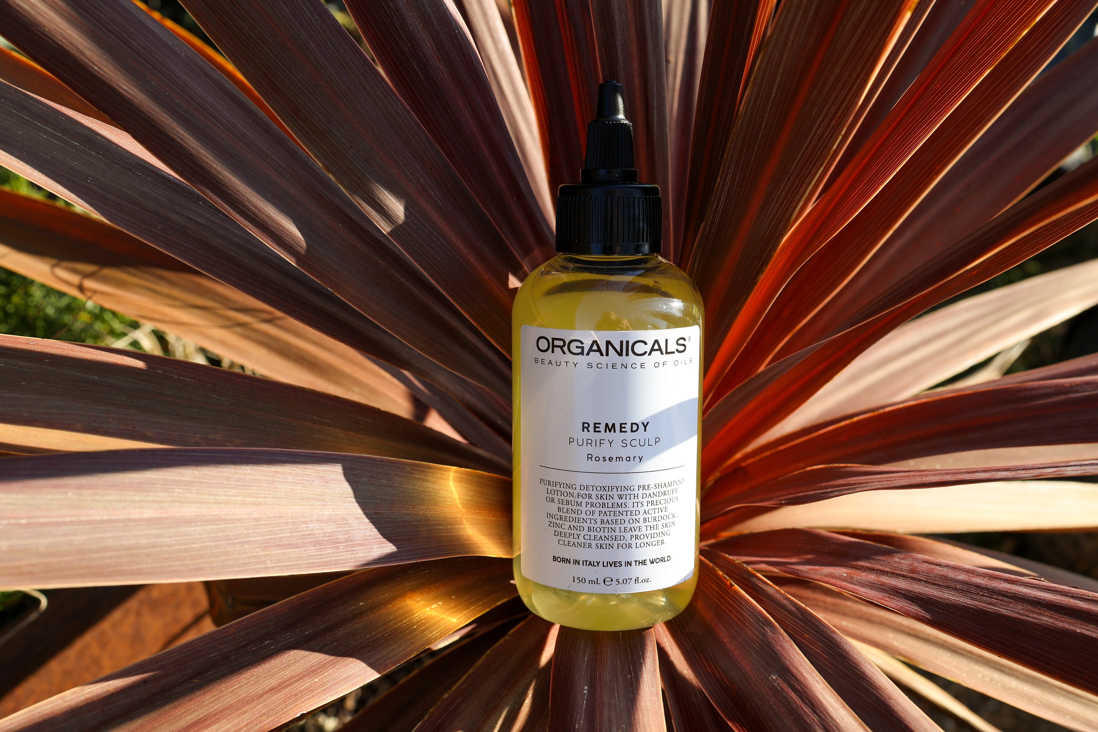 ORGANICALS Remedy Purify Scalp – Терапия за Дълбоко Почистване на Скалпа 150 мл